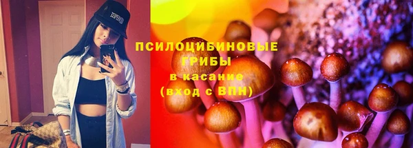 скорость Алзамай