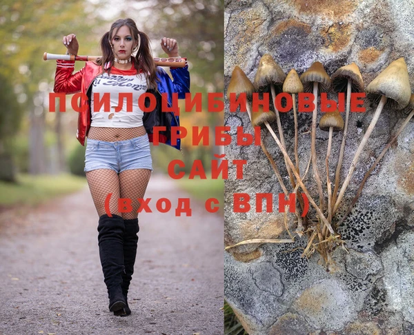 индика Алексеевка