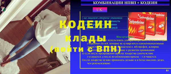 индика Алексеевка