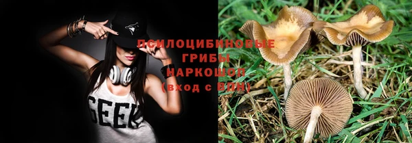 не бодяженный Алексин